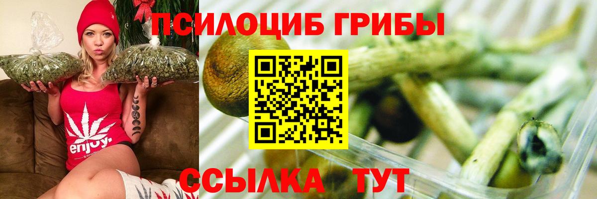 Галлюциногенные грибы MAGIC MUSHROOMS  Псилоцибиновые грибы Psilocybine cubensis  Вход с VPN  Советская Гавань 