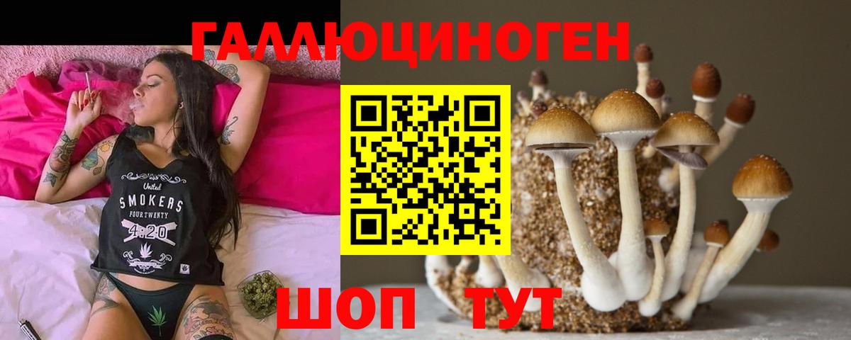 Псилоцибиновые грибы мухоморы Советская Гавань
